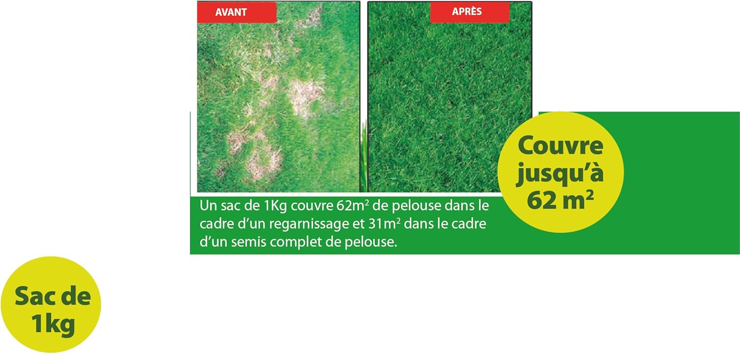 MYBO TV - Semances de gazon - Pousse partout en toutes saisons - Couvre jusqu'à 62m² - Résistant au gel et à la sécheresse - Pousse rapide - Résistant au piétinement - Sac de 1 kg