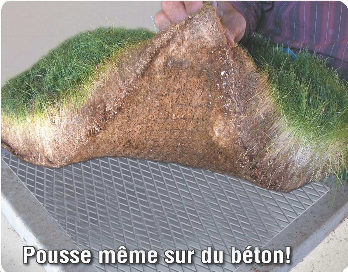 MYBO TV - Semances de gazon - Pousse partout en toutes saisons - Couvre jusqu'à 62m² - Résistant au gel et à la sécheresse - Pousse rapide - Résistant au piétinement - Sac de 1 kg